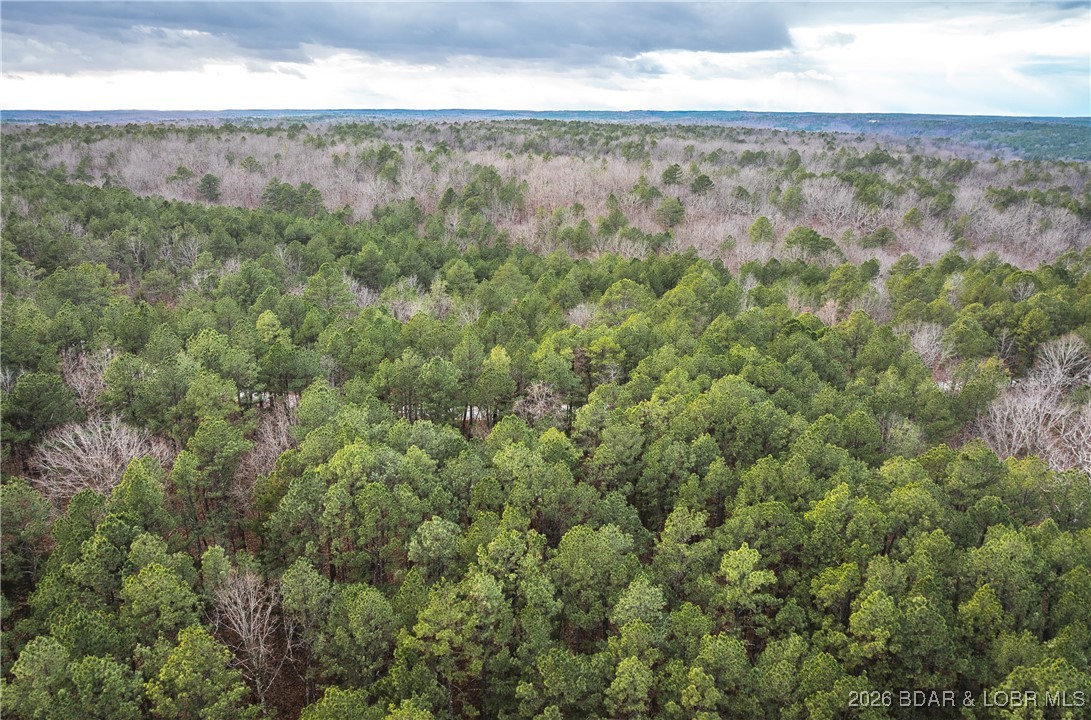 119.26-tbd Slaughter Road Licking, MO 65542 - Photo 46 of 71