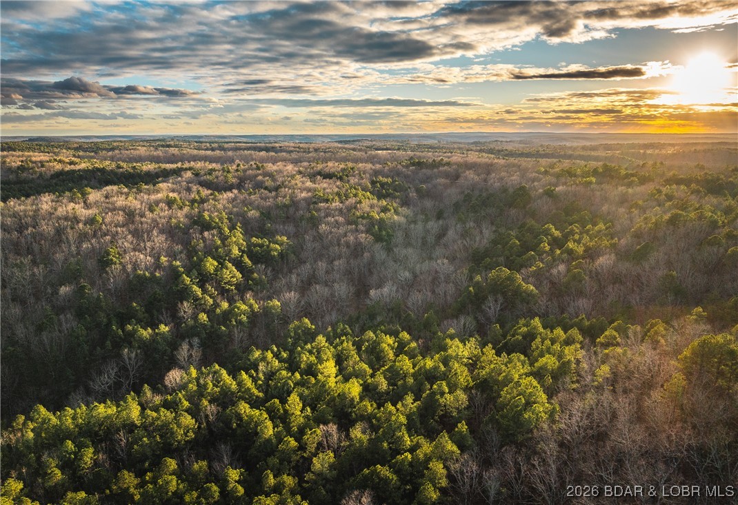 119.26-tbd Slaughter Road Licking, MO 65542 - Photo 50 of 71