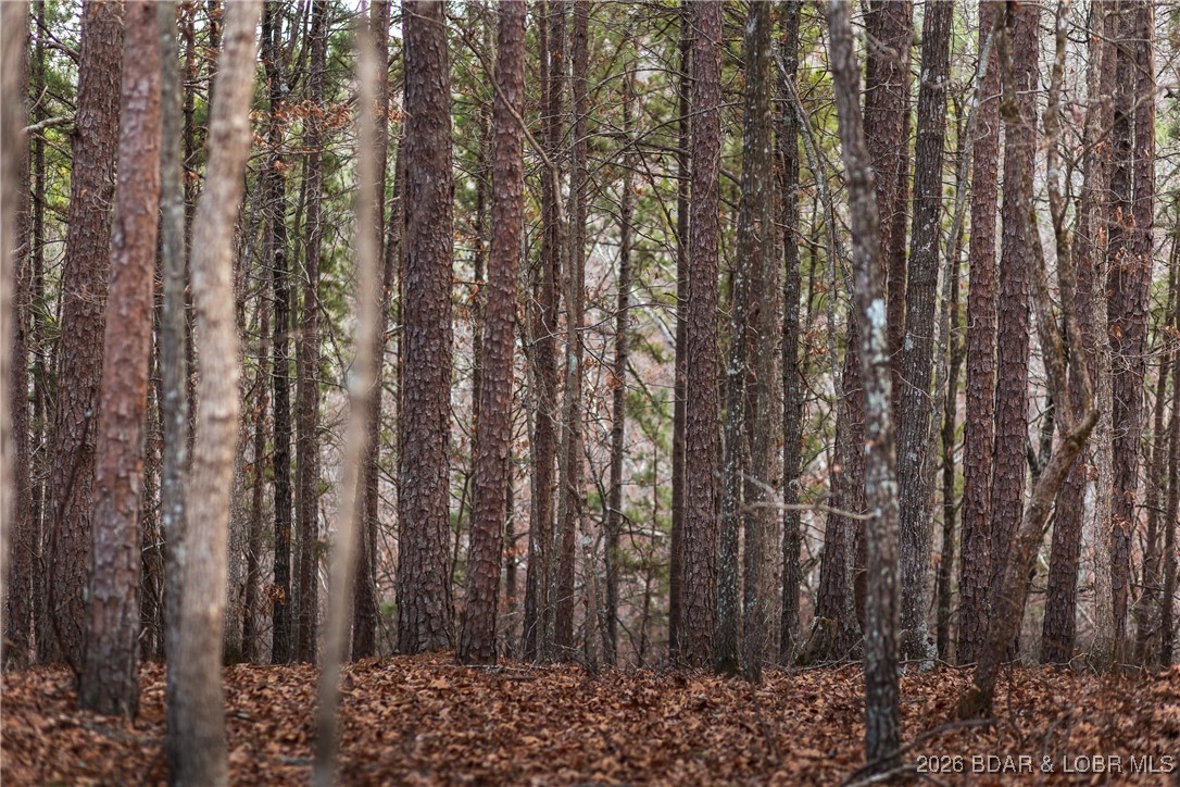 119.26-tbd Slaughter Road Licking, MO 65542 - Photo 57 of 71