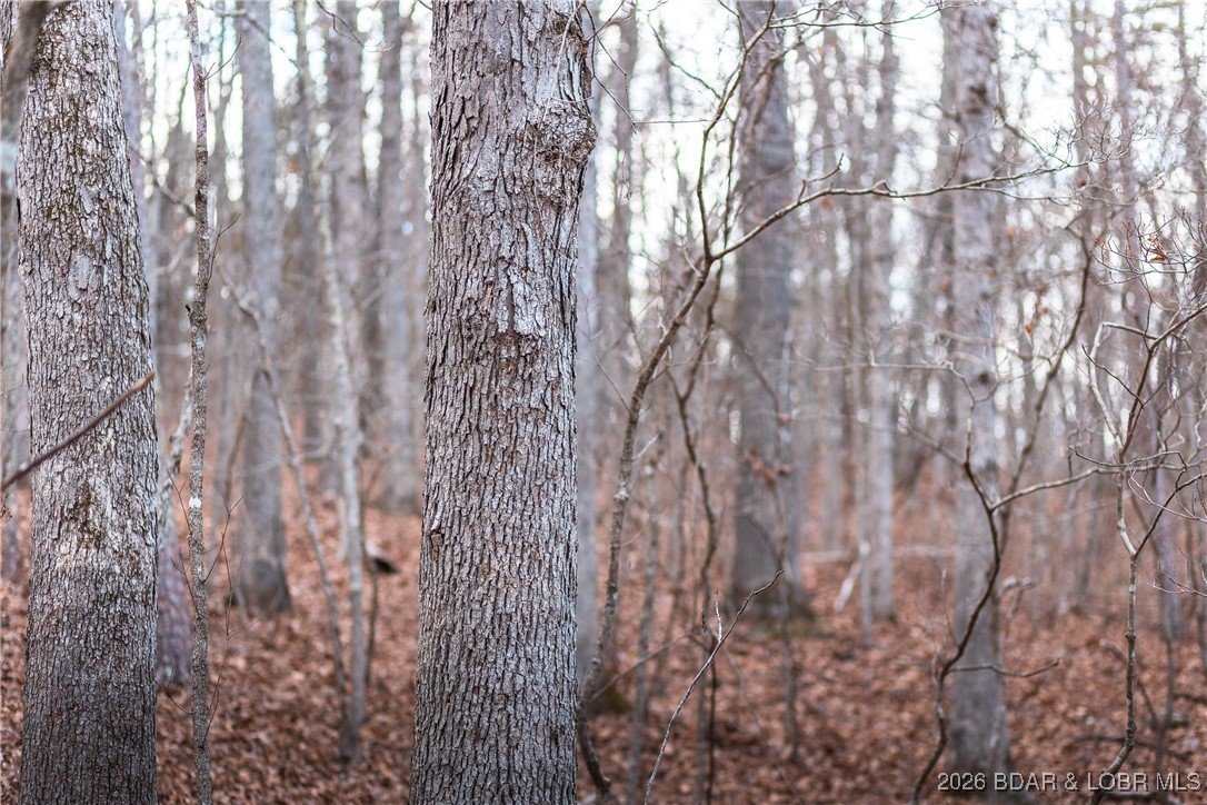 119.26-tbd Slaughter Road Licking, MO 65542 - Photo 58 of 71