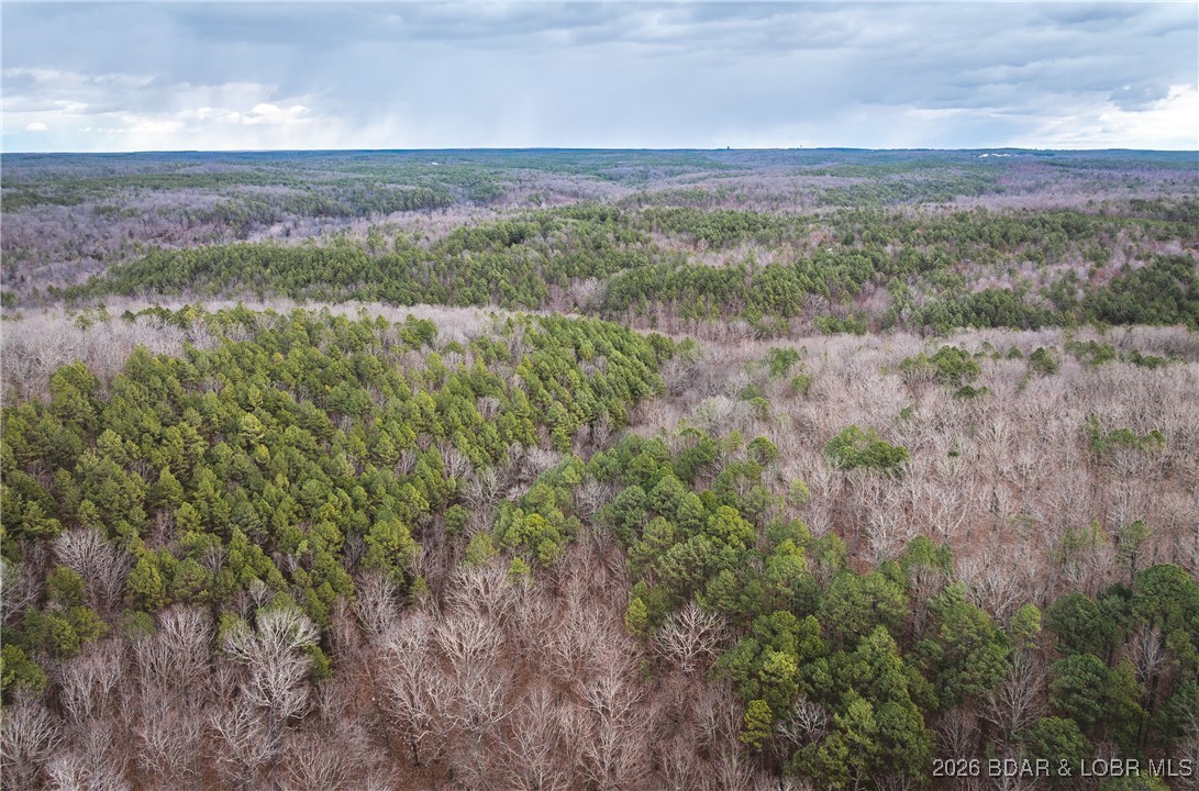 119.26-tbd Slaughter Road Licking, MO 65542 - Photo 6 of 71