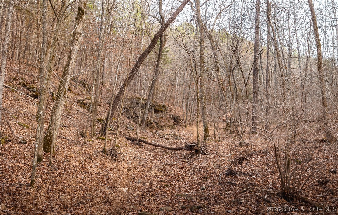 119.26-tbd Slaughter Road Licking, MO 65542 - Photo 61 of 71