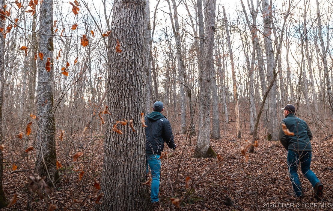 119.26-tbd Slaughter Road Licking, MO 65542 - Photo 63 of 71
