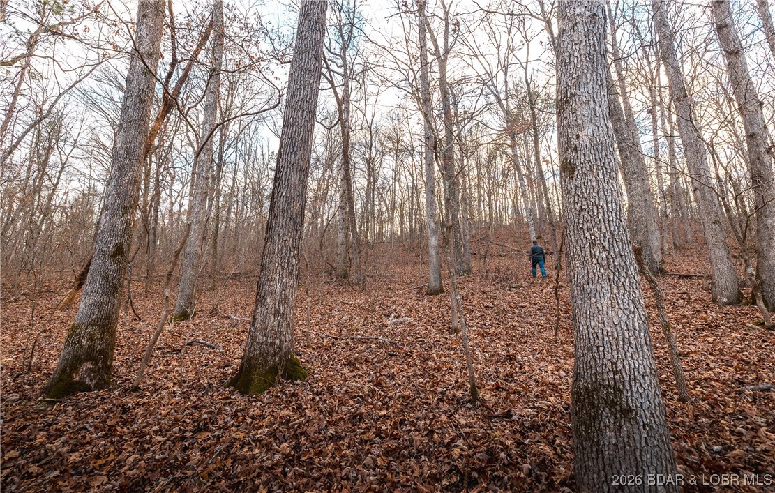 119.26-tbd Slaughter Road Licking, MO 65542 - Photo 65 of 71