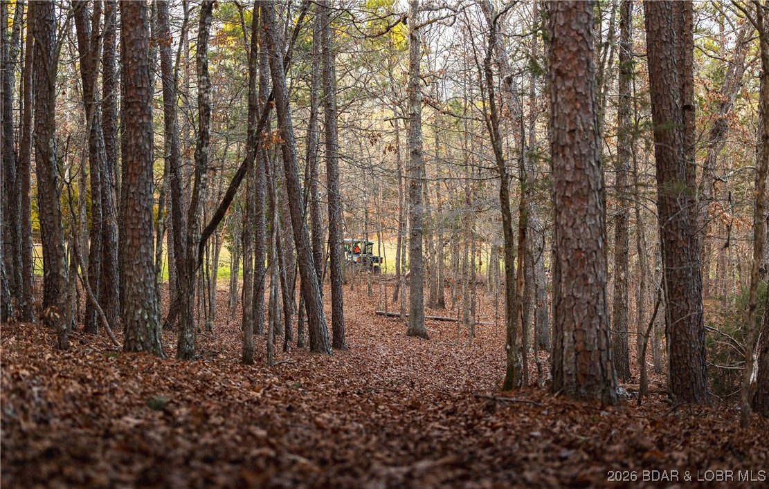 119.26-tbd Slaughter Road Licking, MO 65542 - Photo 67 of 71