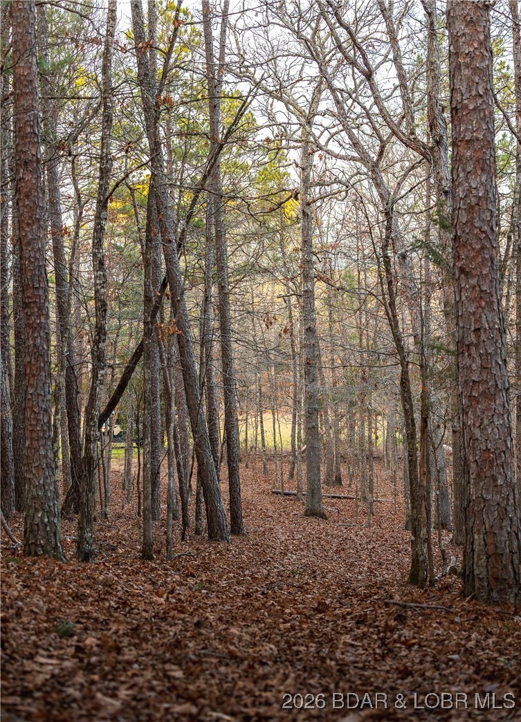 119.26-tbd Slaughter Road Licking, MO 65542 - Photo 68 of 71