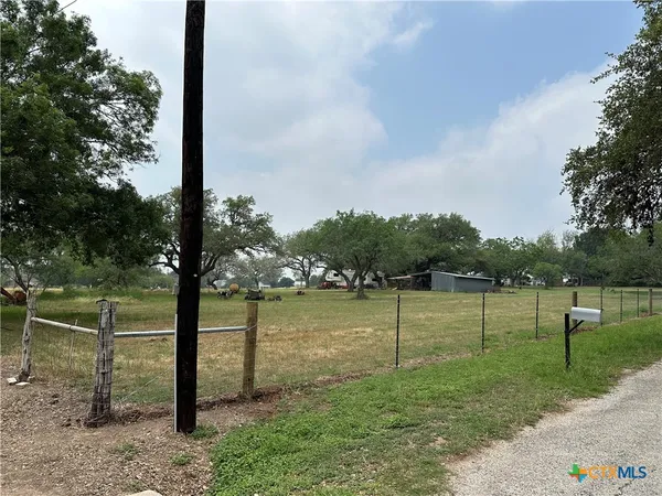 a view of a park with large trees