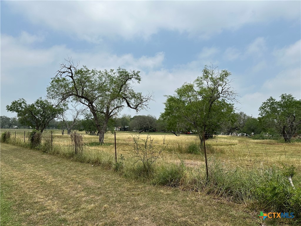 725 Post Oak Road Goliad, TX 77963 - Photo 8 of 21