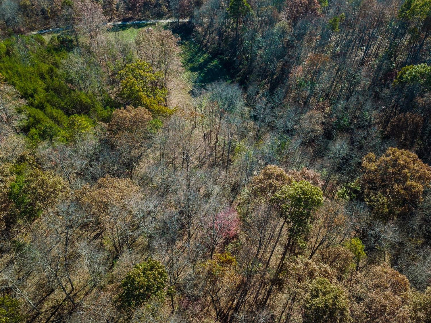999 Red Davidson Road McKee, KY 40447 - Photo 24 of 45 Photo 24