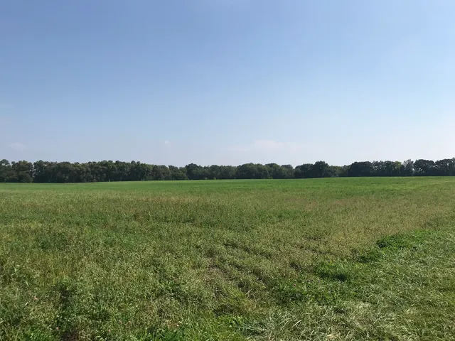a view of a lake from a yard