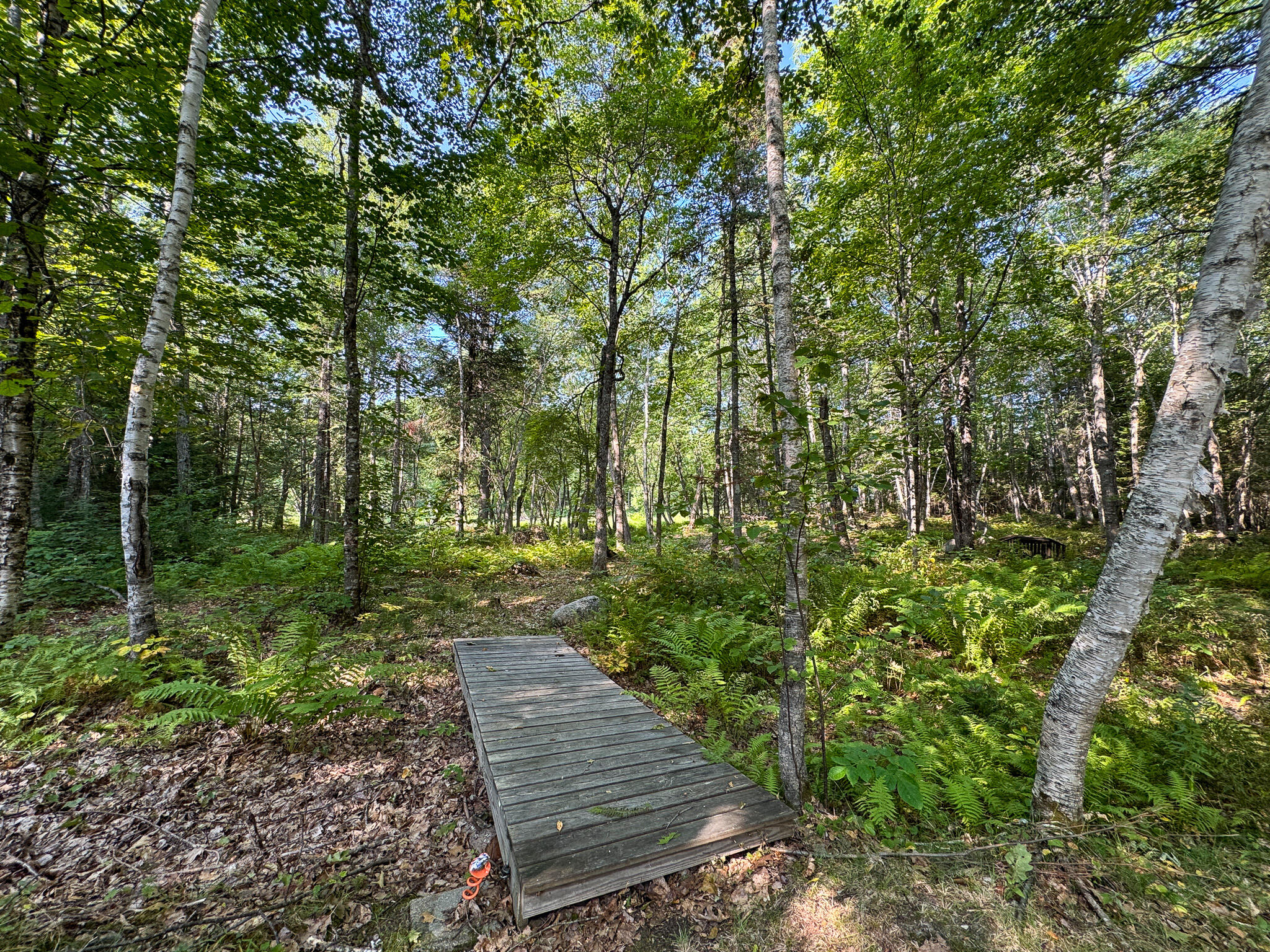 21 Loop Road Chester, ME 04457 - Photo 26 of 27 24