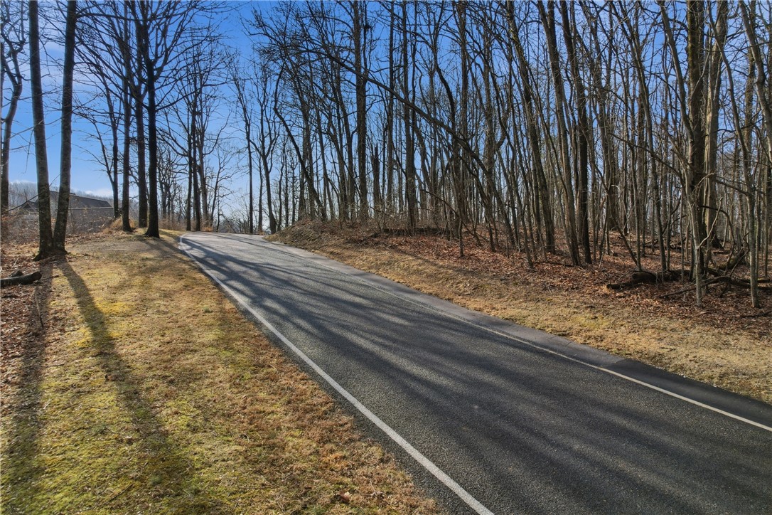116 Witch Hazel Trail Landrum, SC 29356 - Photo 8 of 26 A tranquil, tree-lined road awaits, perfect for a peaceful drive.