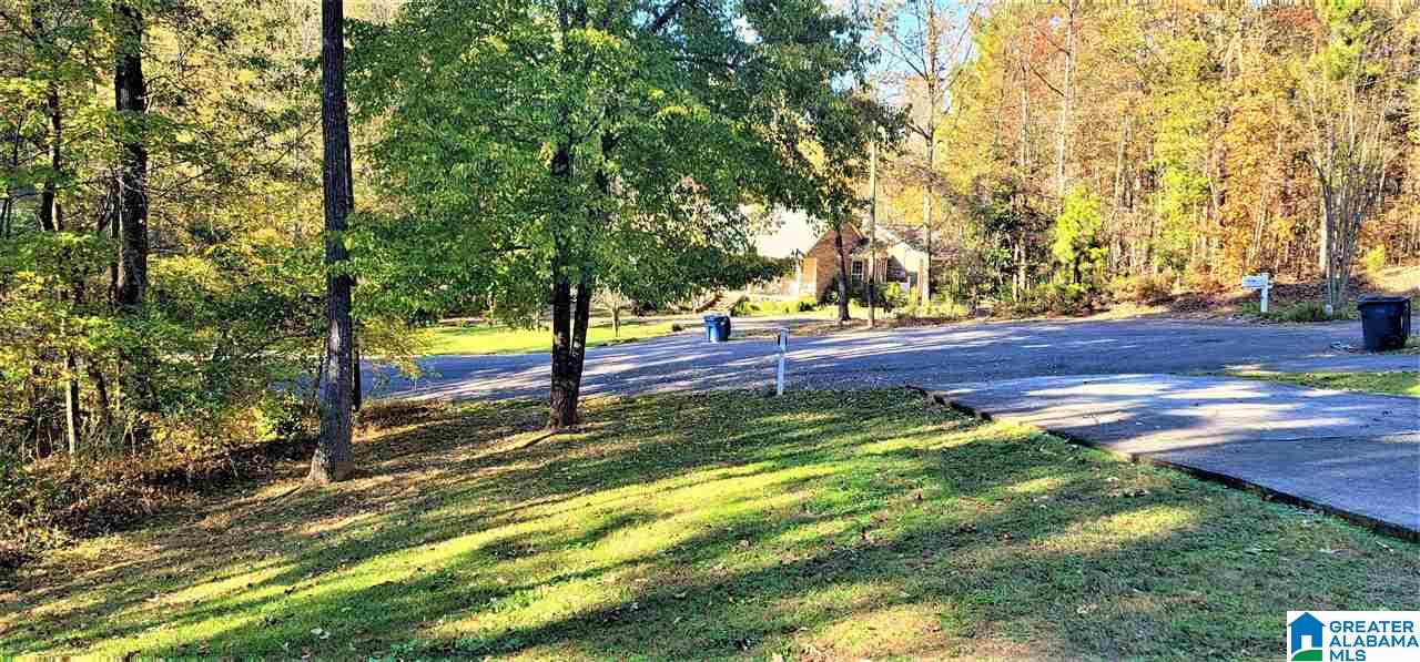 54 Austin Circle Heflin, AL 36264 - Photo 5 of 38