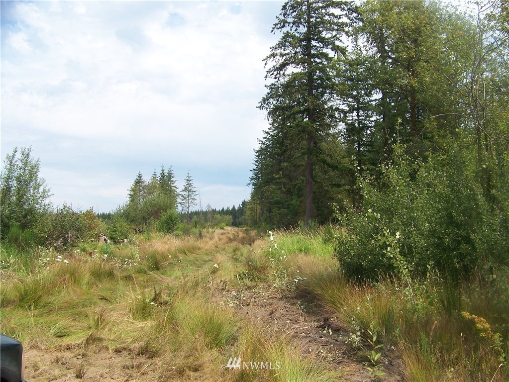 0 Meier Road Winlock, WA 98596 - Photo 2 of 9