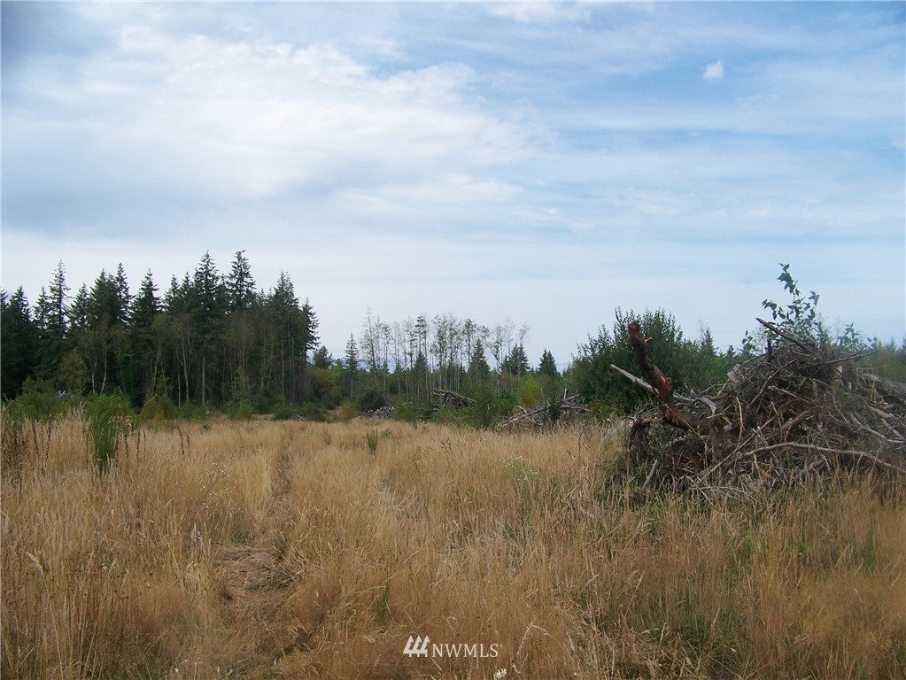 0 Meier Road Winlock, WA 98596 - Photo 3 of 9