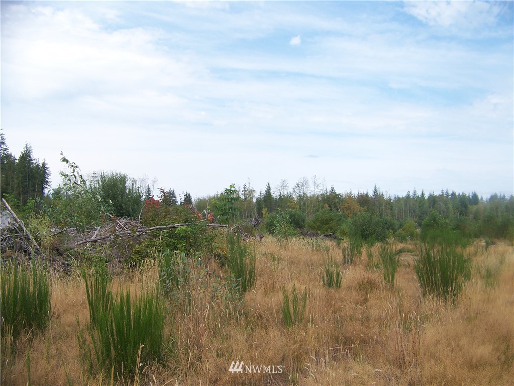 0 Meier Road Winlock, WA 98596 - Photo 4 of 9