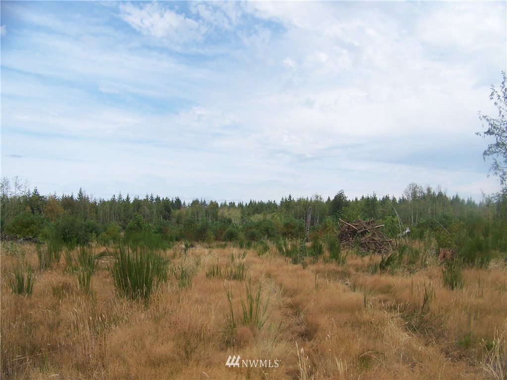 0 Meier Road Winlock, WA 98596 - Photo 5 of 9