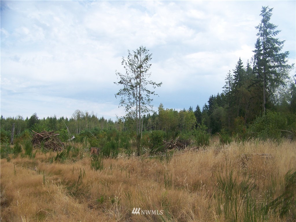 0 Meier Road Winlock, WA 98596 - Photo 6 of 9