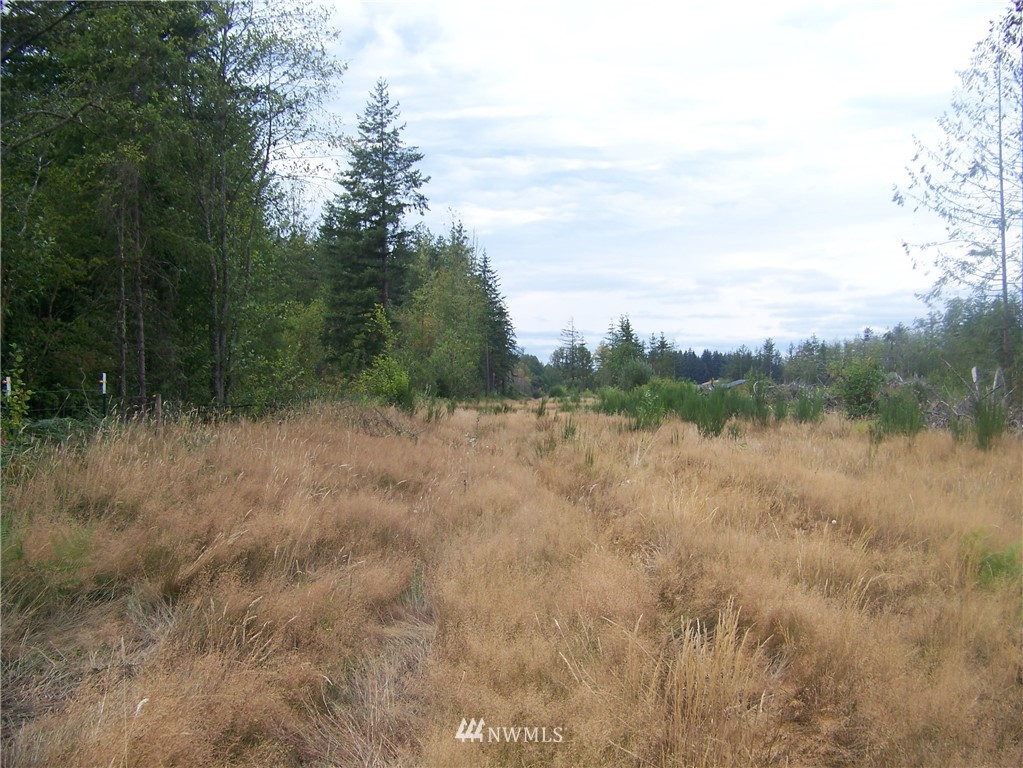 0 Meier Road Winlock, WA 98596 - Photo 7 of 9