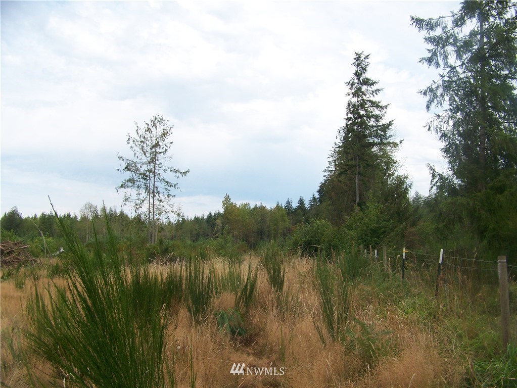 0 Meier Road Winlock, WA 98596 - Photo 8 of 9