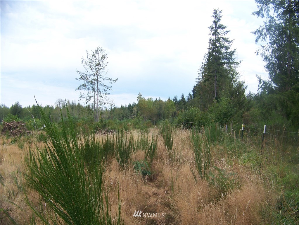 0 Meier Road Winlock, WA 98596 - Photo 9 of 9
