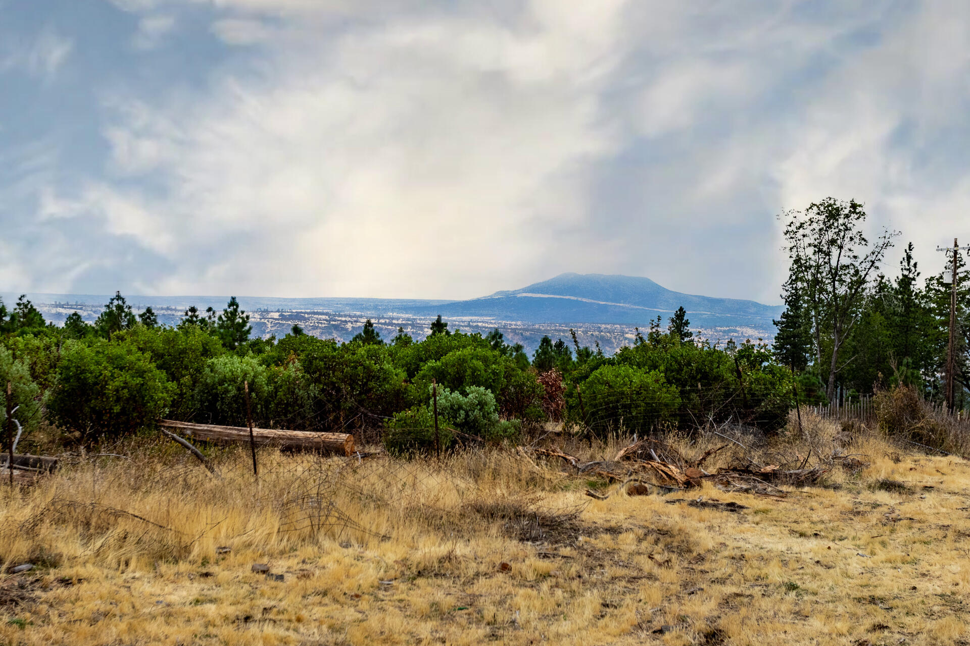 33150 Forward Road Manton, CA 96059 - Photo 2 of 12 a view of a garden