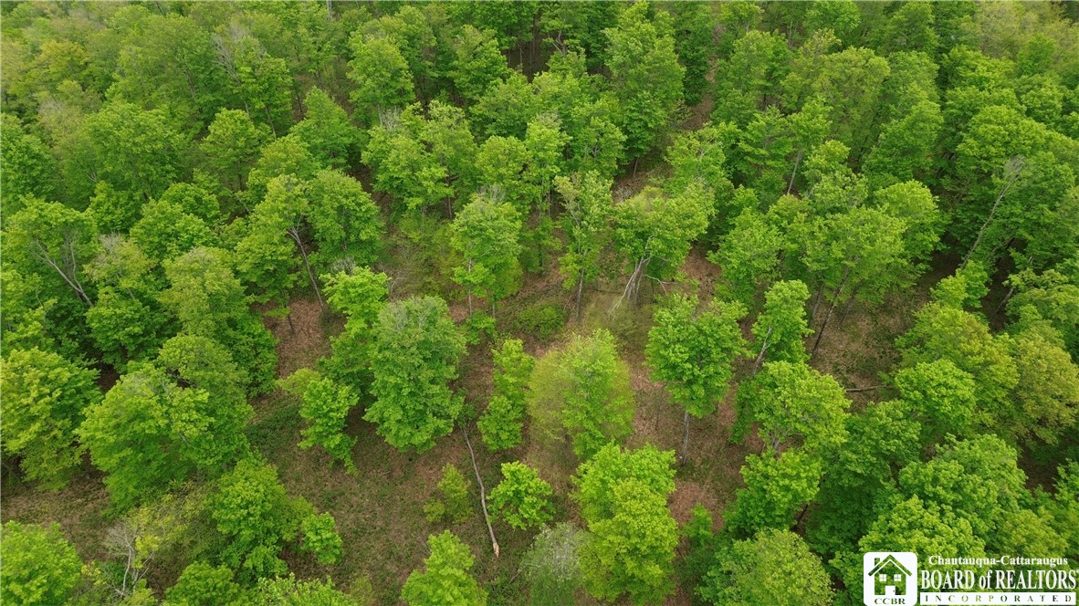 Fulmer Valley Road Wellsville, NY 14895 - Photo 10 of 49