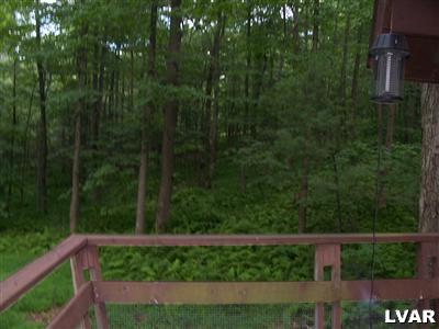 358 Hemlock Road Kunkletown, PA 18058 - Photo 8 of 10 a view of a yard from a balcony