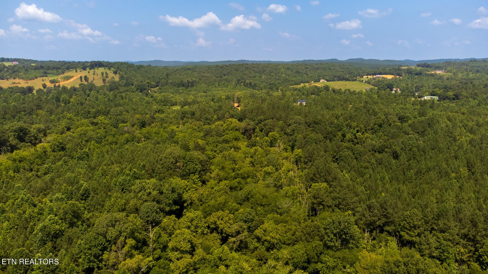 1 Athens Road Niota, TN 37826 - Photo 13 of 27