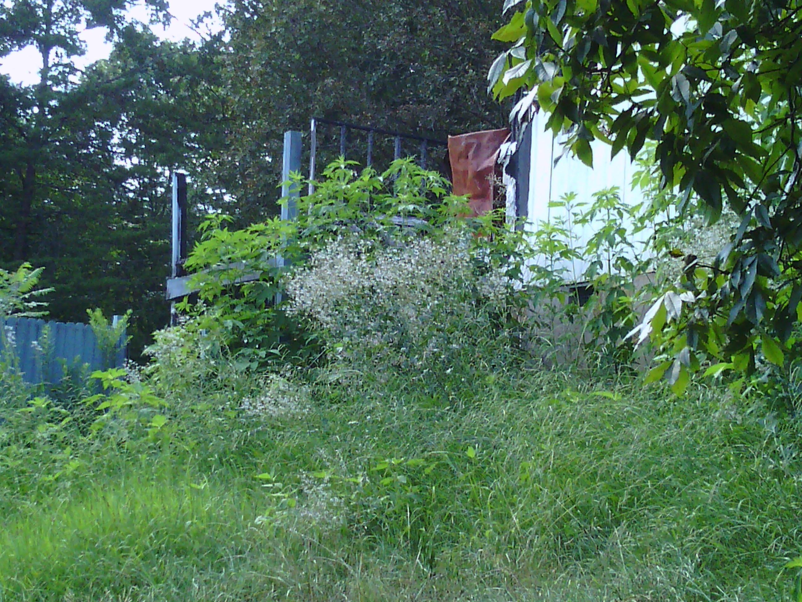 295 Sallings Road Luttrell, TN 37779 - Photo 5 of 10 Former Structure, Rear