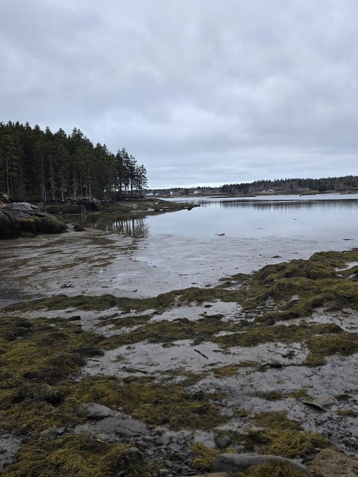 Lot 1 Windward Way Addison, ME 04606 - Photo 9 of 14 20260415_140510