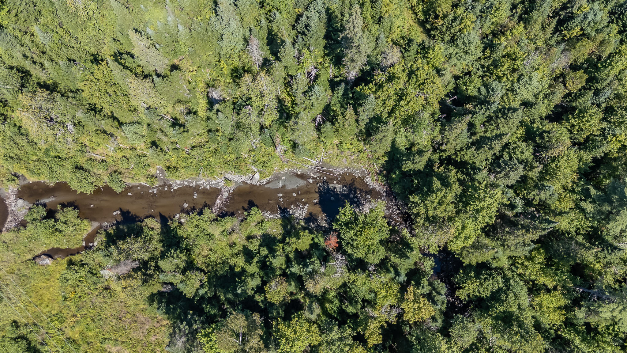40-1 Bates Road Abbot, ME 04406 - Photo 43 of 52 DJI_20250815113456_0248_D