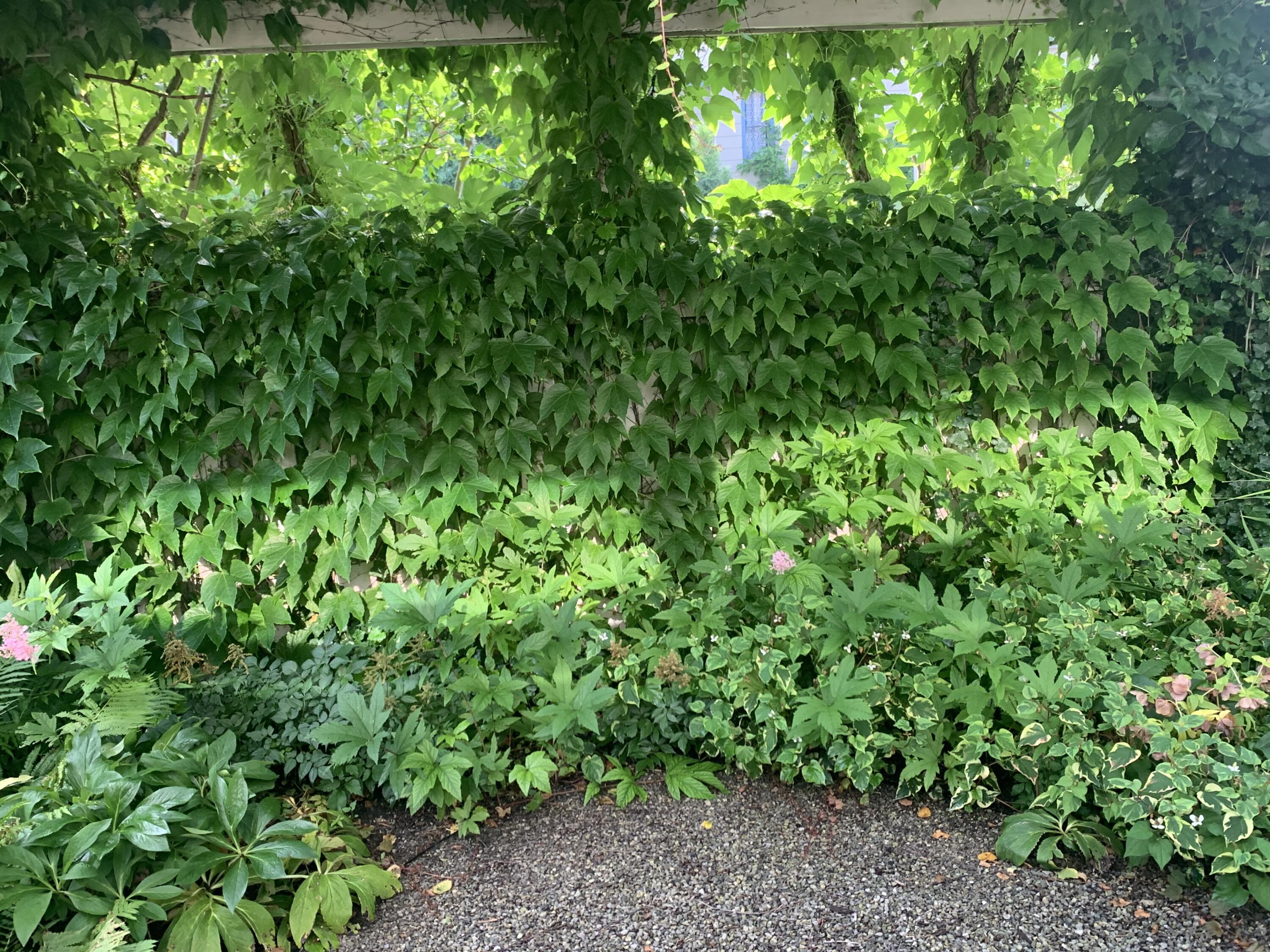 316 8th Street Manistee, MI 49660 - Photo 24 of 34 Courtyard 2