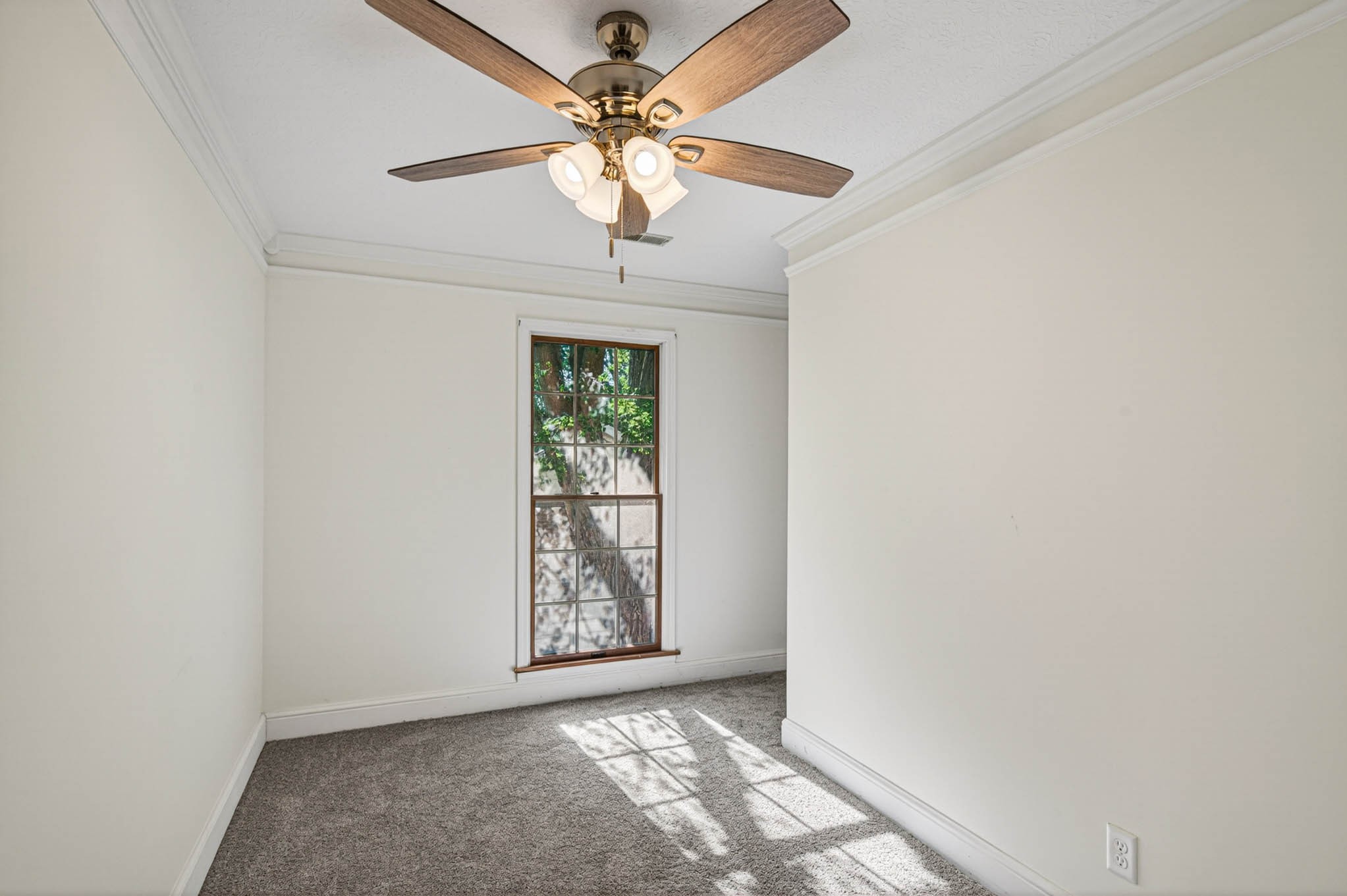 1800 Plano Road Bowling Green, KY 42104 - Photo 27 of 47 an empty room with windows and fan