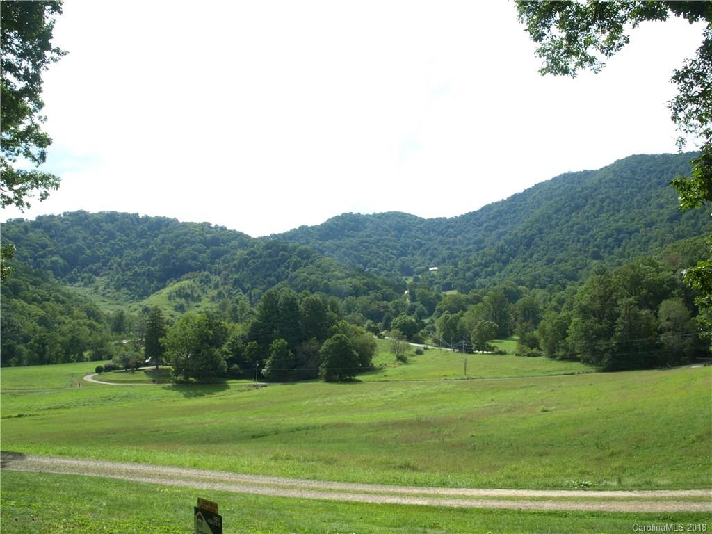 179 Hickory Ridge Canton, NC 28716 - Photo 3 of 13