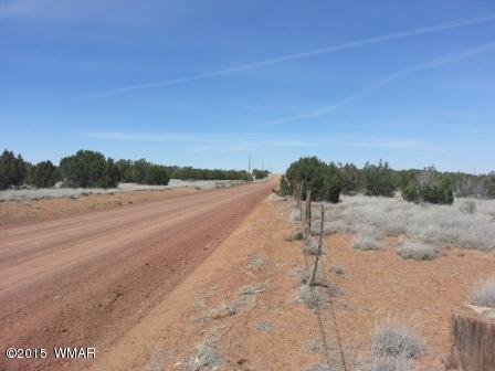 3845 Ramsey Road Snowflake, AZ 85937 - Photo 3 of 5 Gallery Image 3