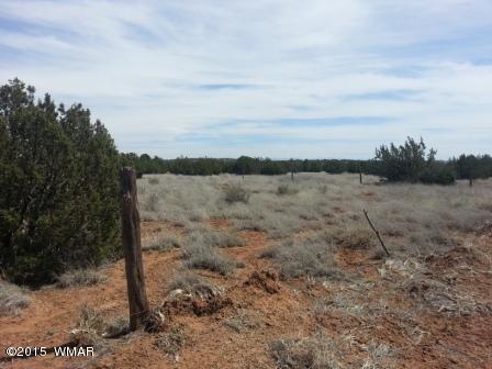 3845 Ramsey Road Snowflake, AZ 85937 - Photo 4 of 5 Gallery Image 4