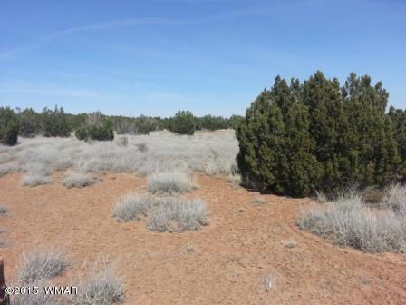 3845 Ramsey Road Snowflake, AZ 85937 - Photo 5 of 5 Gallery Image 5