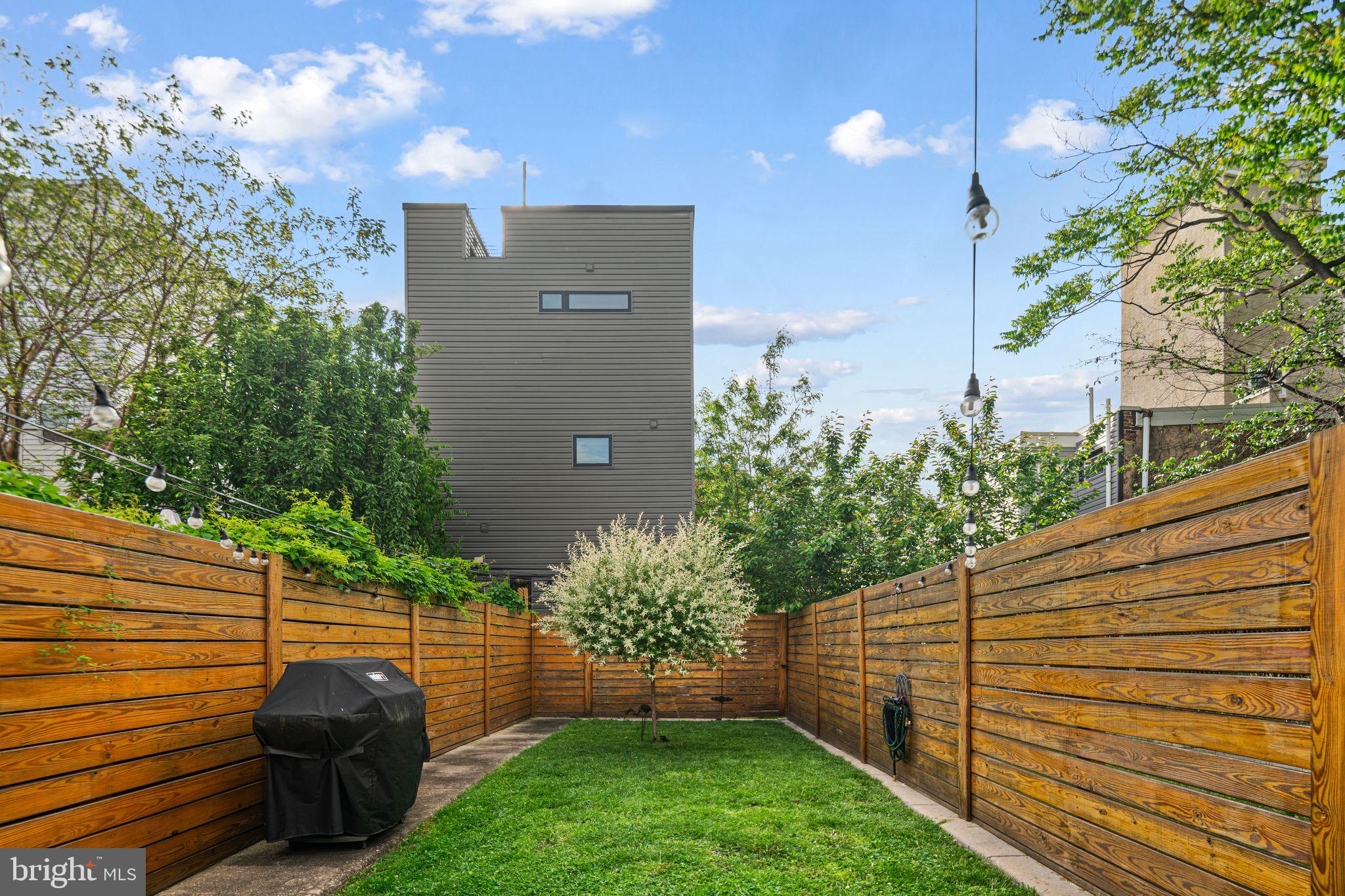 1330 South 16th Street Philadelphia, PA 19146 - Photo 9 of 37 a view of a backyard with potted plants and a large tree