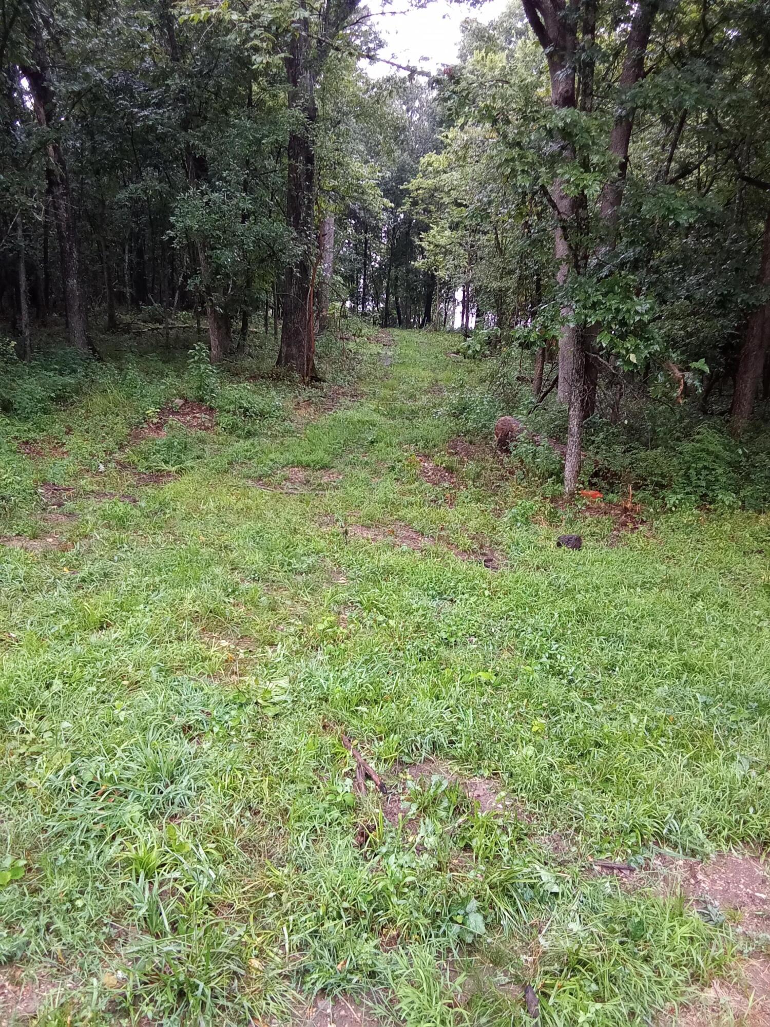 0 Fraker Road Buffalo, MO 65622 - Photo 3 of 13 404