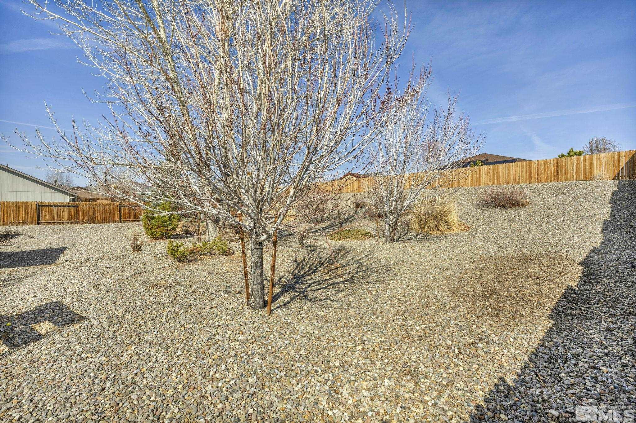 804 Mariposa Road Dayton, NV 89403 - Photo 39 of 39 Photo 39