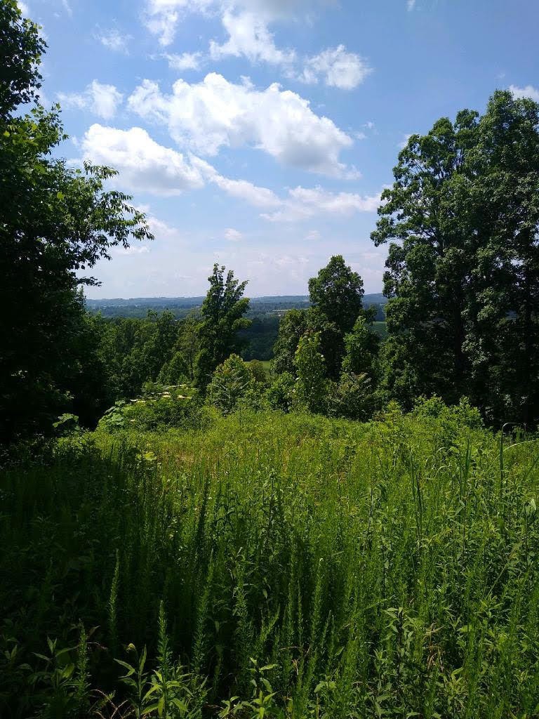 0 Co Road Athens, TN 37303 - Photo 2 of 3