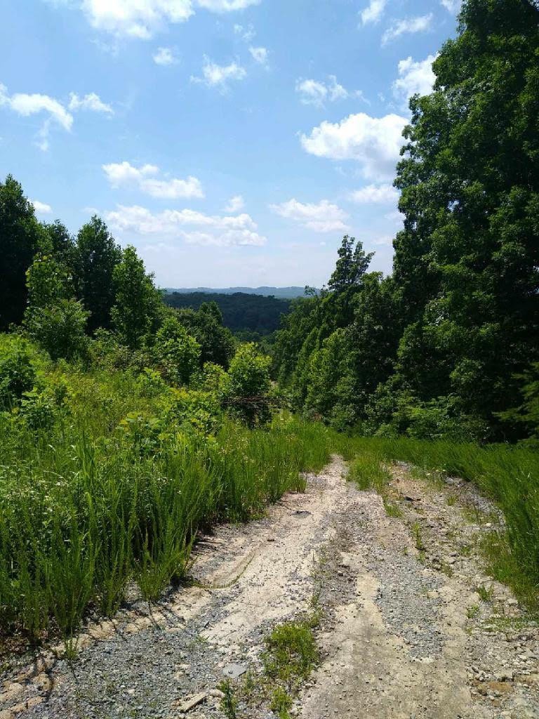 0 Co Road Athens, TN 37303 - Photo 3 of 3