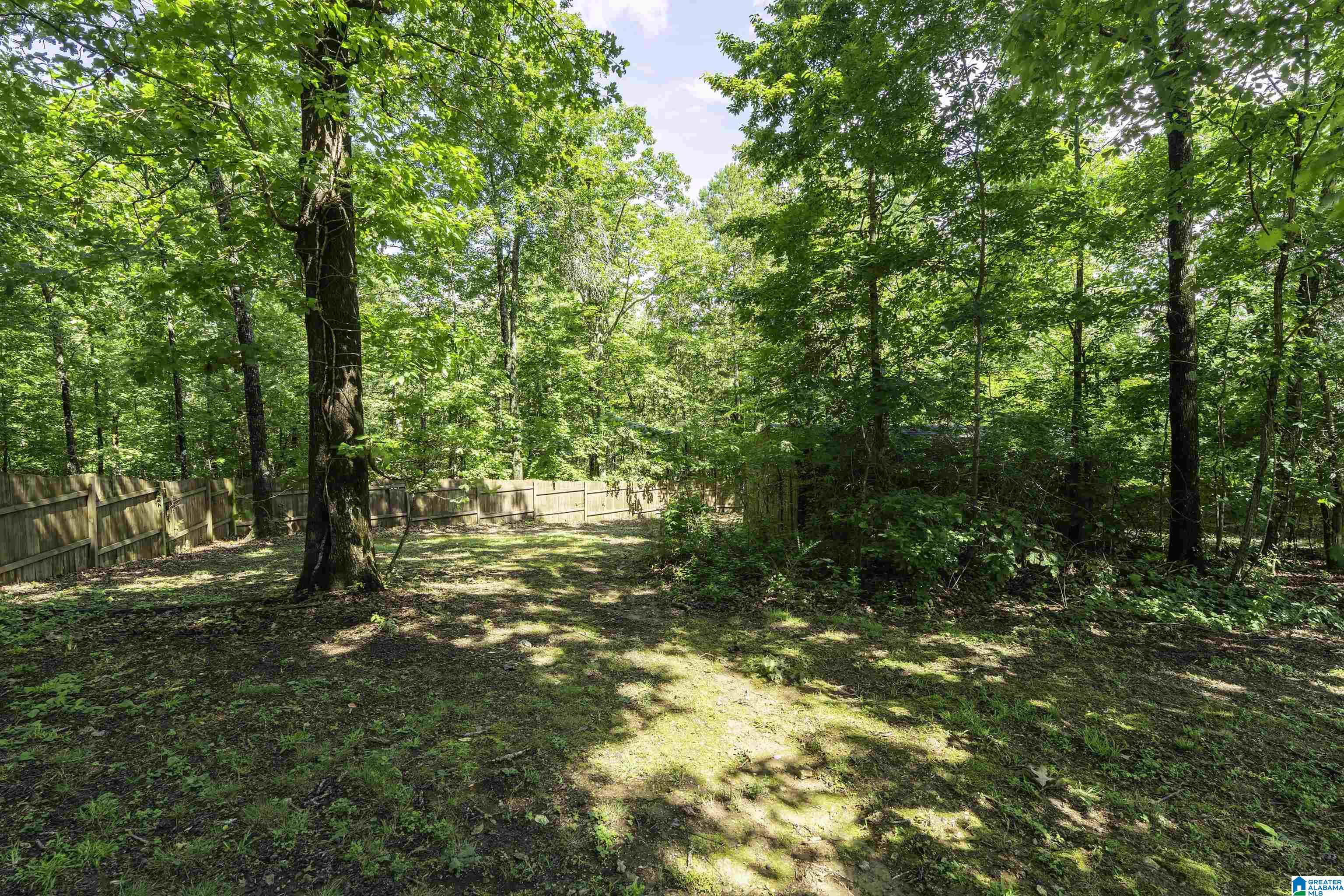 542 Cody Circle Springville, AL 35146 - Photo 46 of 62