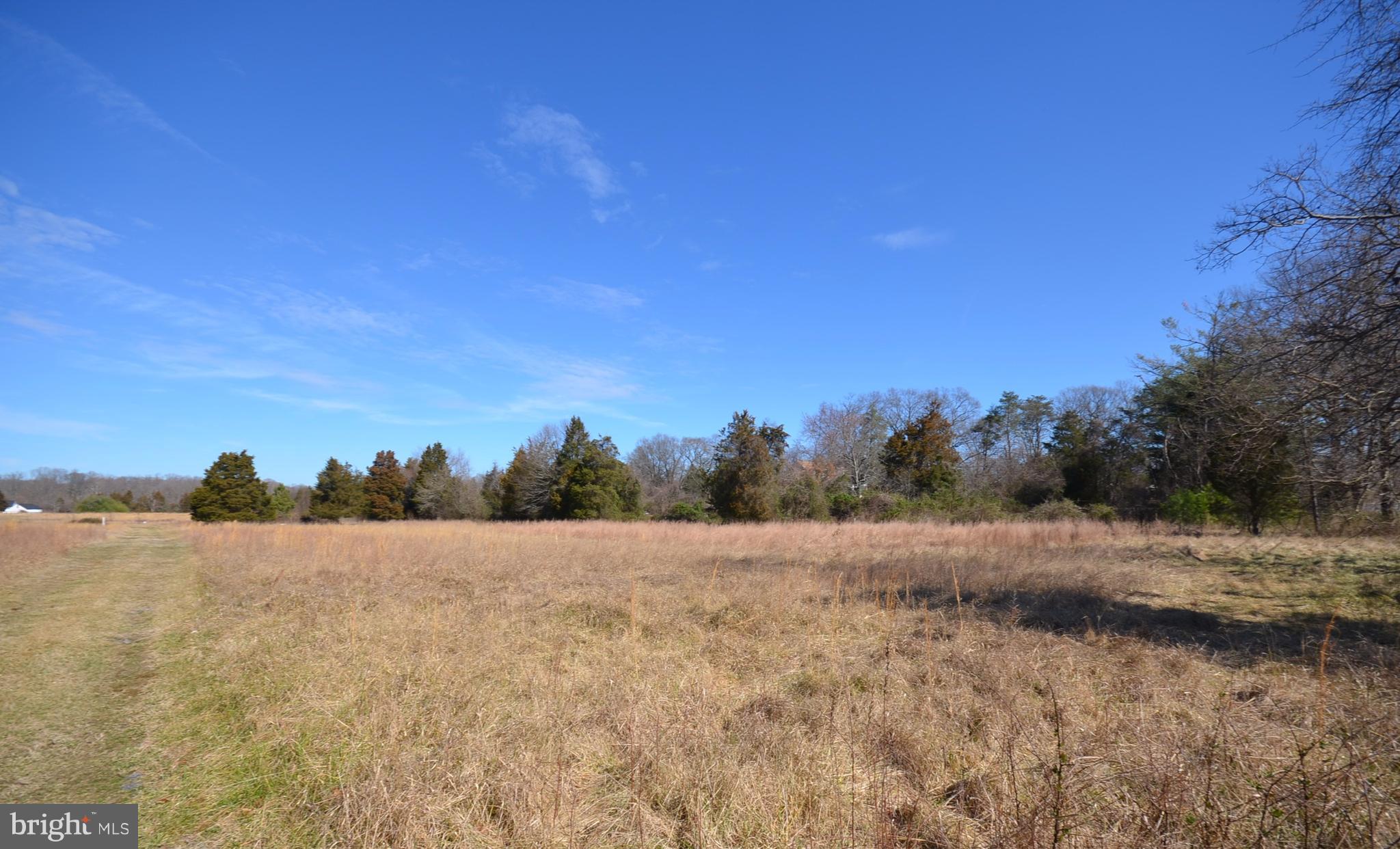 16009 Livingston Road Accokeek, MD 20607 - Photo 2 of 6 a view of a field with trees in background