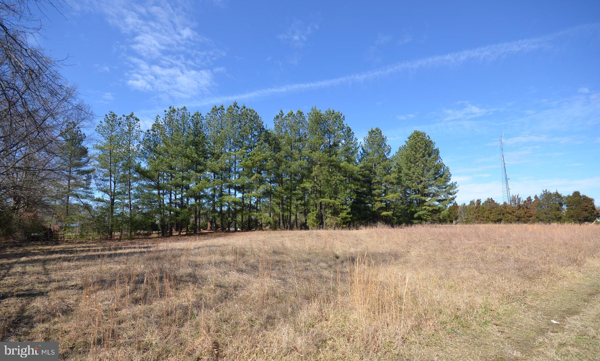 16009 Livingston Road Accokeek, MD 20607 - Photo 3 of 6 a view of a field with trees in the background