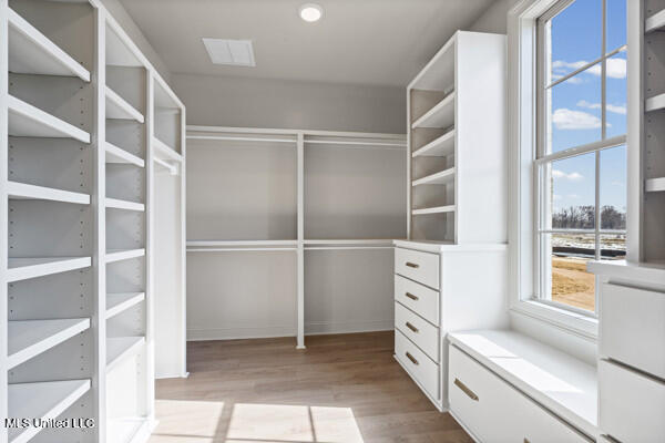 5392 Grayson Way Hernando, MS 38632 - Photo 19 of 32 74-primary closet