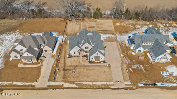 5392 Grayson Way Hernando, MS 38632 - Photo 31 of 32 74-aerial 2