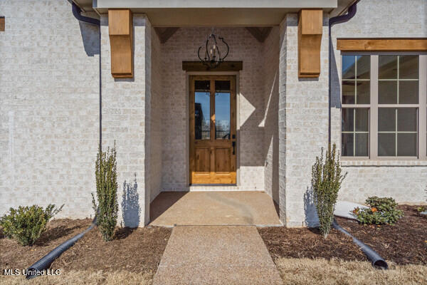 5392 Grayson Way Hernando, MS 38632 - Photo 5 of 32 74-entry