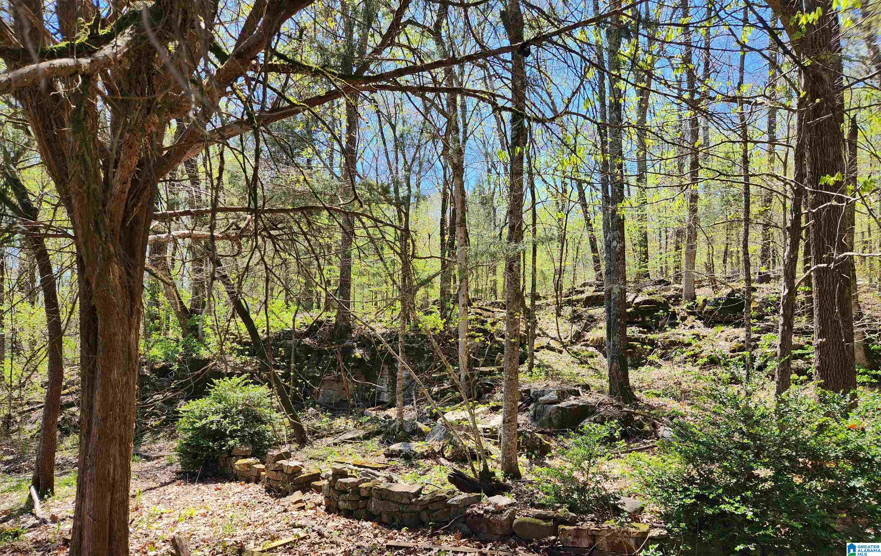 1453 Crawford Cove Road Springville, AL 35146 - Photo 49 of 51